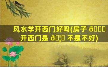 风水学开西门好吗(房子 🐛 开西门是 🦉 不是不好)